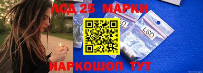 стаф Краснодар