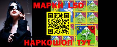 стаф Краснодар