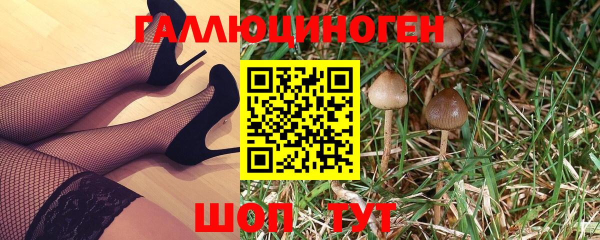 где продают   Псилоцибиновые грибы GOLDEN TEACHER  Псилоцибиновые грибы мухоморы  Вход с VPN  Златоуст 