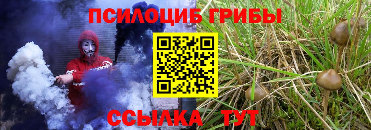 Галлюциногенные грибы мицелий Златоуст